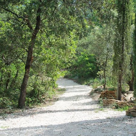 Lou Paradou Lodge Grillon Екстериор снимка