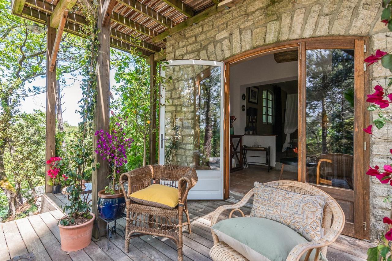Lou Paradou Lodge Grillon Екстериор снимка