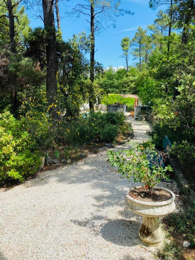 Lou Paradou Lodge Grillon Екстериор снимка